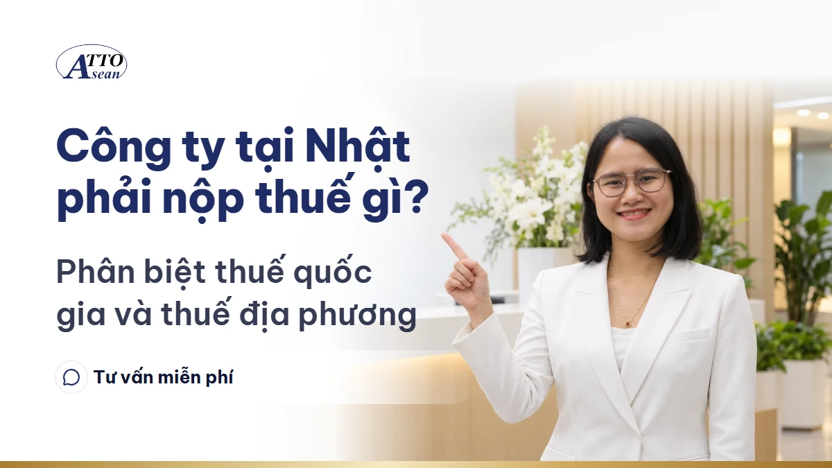 Công ty tại Nhật phải nộp thuế gì? — phân biệt thuế quốc gia và thuế địa phương